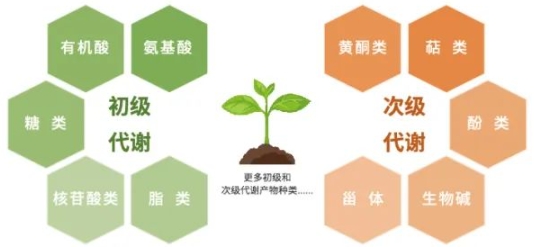8元问卷调查|细胞代谢分析有奖问卷调研